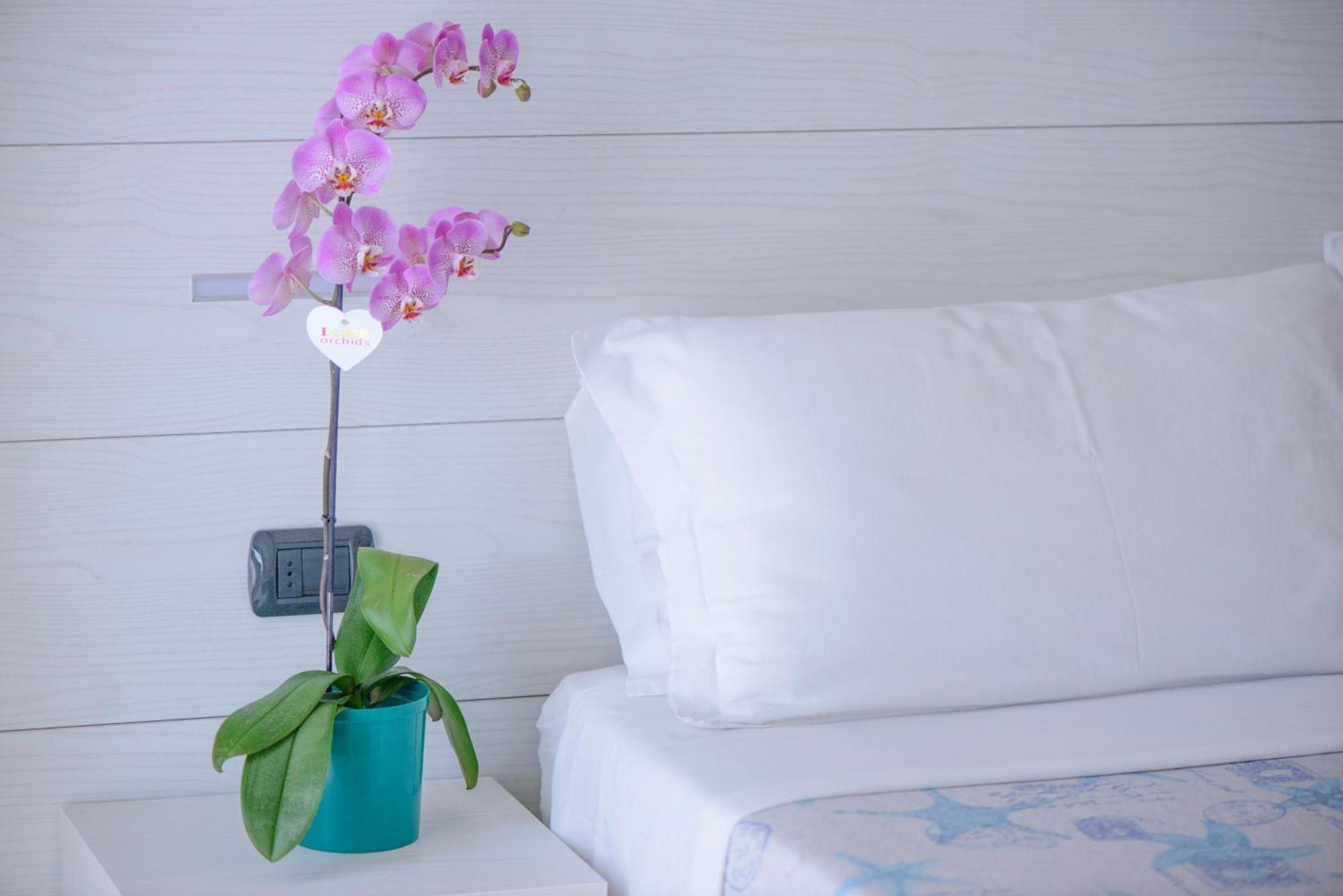 רימיני Hotel Sans Souci מראה חיצוני תמונה